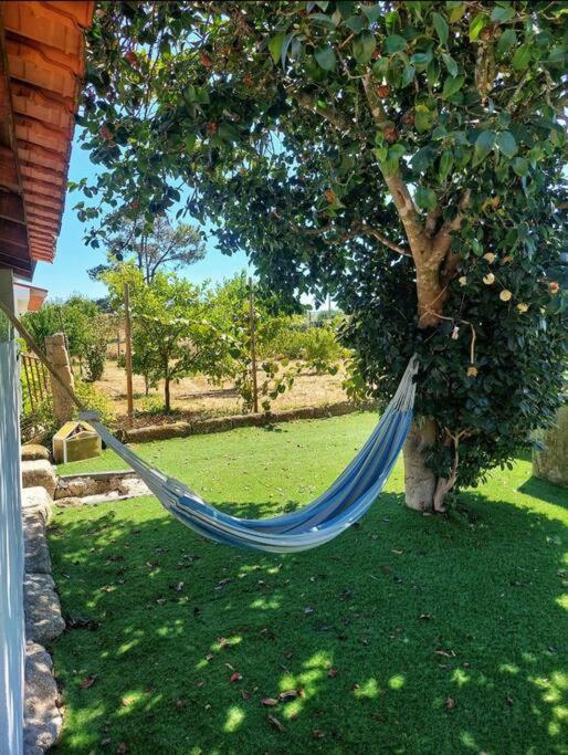 Holiday home A Casa Do Soito Oliveira do Hospital