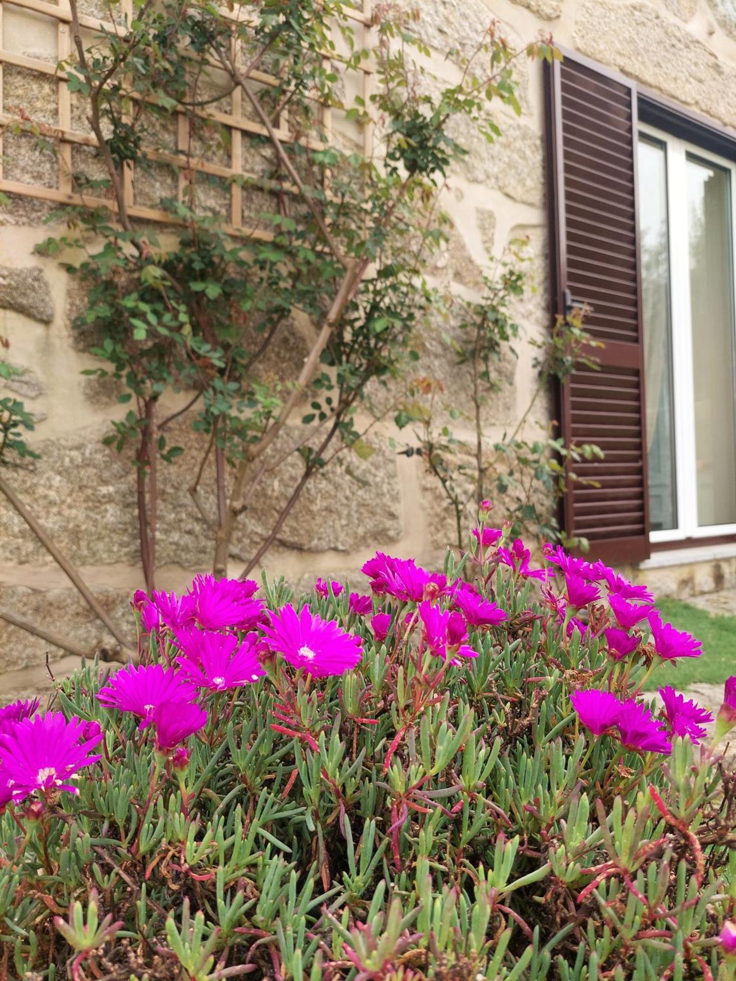 Holiday home A Casa Do Soito Oliveira do Hospital