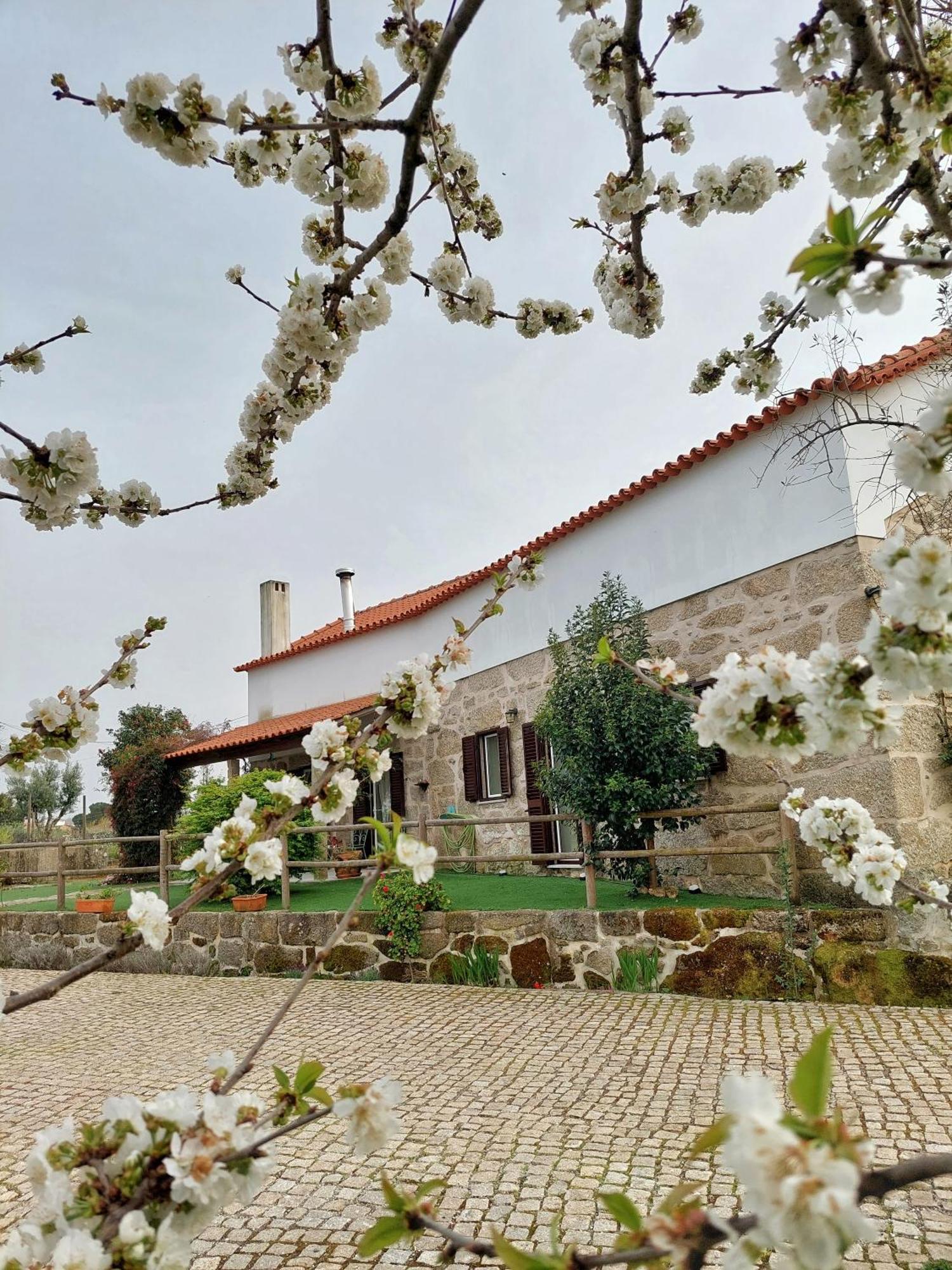 A Casa Do Soito Oliveira do Hospital